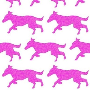 Magenta clouds surfaced running dog