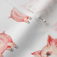 Cute watercolor piggy on white - M