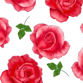 Pink Watercolor Roses