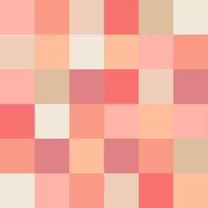 Retro Checker Checkerboard in Pantone Peach Fuzz Plethora Palette - JUMBO