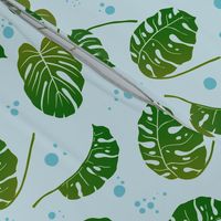 Tropical Serenity: Lush Monstera Leaves Pattern on Cool Aqua Background - Nature-Inspired Home Decor & Fashion