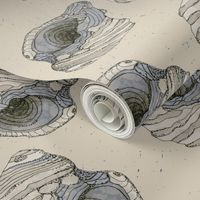 (M) Watercolor Whelk Sea Shell | Muslin Off White | Hand Painted | Med Scale