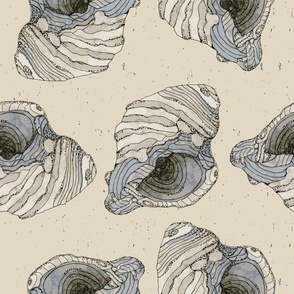 (M) Watercolor Whelk Sea Shell | Muslin Off White | Hand Painted | Med Scale