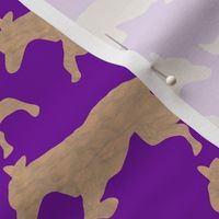 Dune surfaced Lab dog shadow on purple