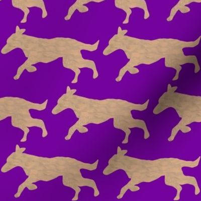 Dune surfaced Lab dog shadow on purple