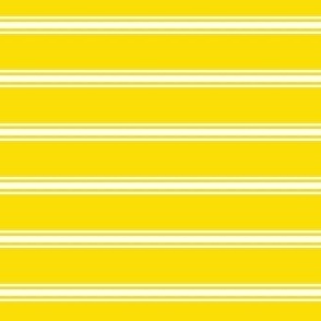 FS Gold with White Ticking Stripe Horizontal