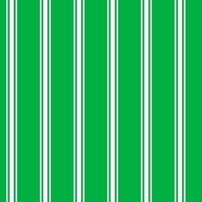 FS Grass Green with White Ticking Stripe 