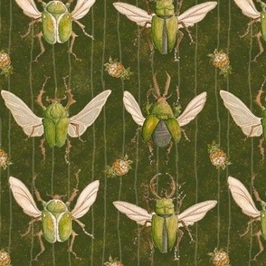 Beetles in Dark Green