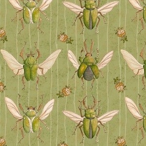 Beetles in Green