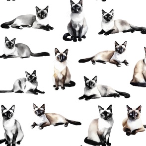 siamese cats in black and brown ink on white background