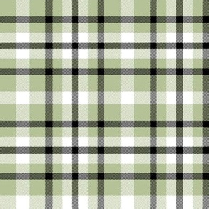 Light Green Plaid with Black and White