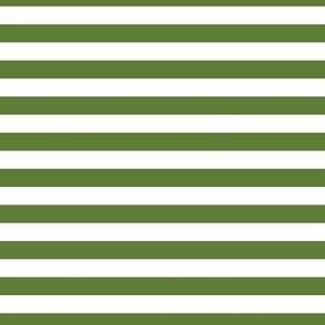 1 Inche Stripe Green and White