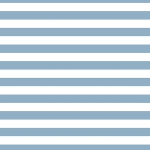 1 Inch Stripe Blue and White