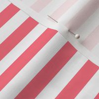 1/2 Stripe Bright Coral Pink and white