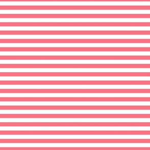 1/2 Stripe Bright Coral Pink and white