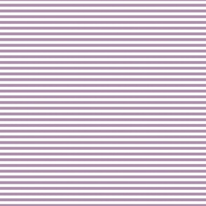 1/4 Inch Stripe Purple and White