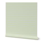 1/4 Inch Stripe Green and White