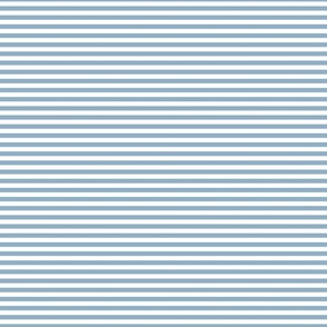 1/4 Inch Stripe Blue and White