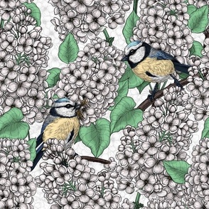 Birds in the lilac tree, white and green