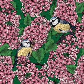 Birds in the lilac tree, pink and green