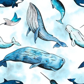 Watercolor whales