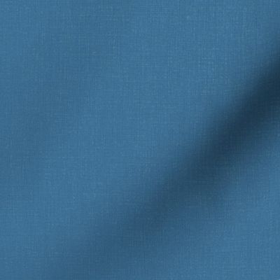 Textured Dark Blue Solid 153