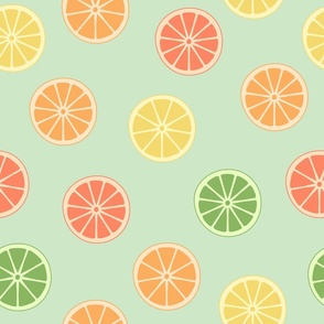 citrus, slice, lemon, lime, orange, grapefruit, summer, squeeze the day (large size)