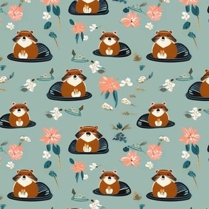 Beavers // Beavers on lily Pads