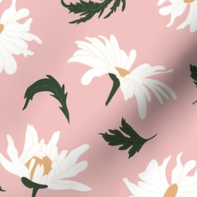 daisies on pink 