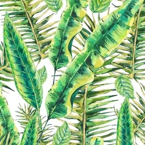 Watercolor green leaves on white