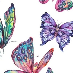 Watercolor colorful butterflies on white - L