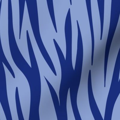 (L) Tropical Tiger print blue coordinate (Tween Spirit)