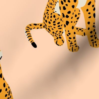 Mod leopards on blush - large