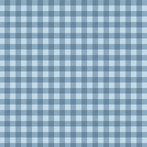 Blue Spring Gingham - Small