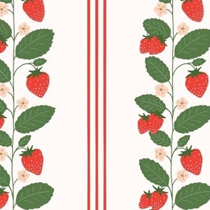 Strawberry Vertical Stripe in Red and Green