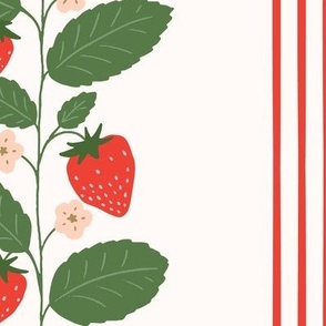 (XL) Strawberry Vertical Stripe in Red and Green