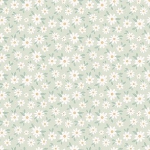 Micro White Daisy Pattern on Sage