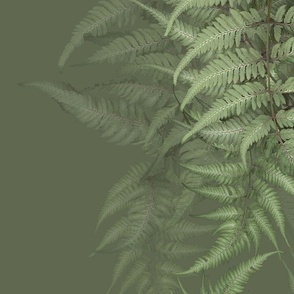 Woven Forest Ferns, medium green/large