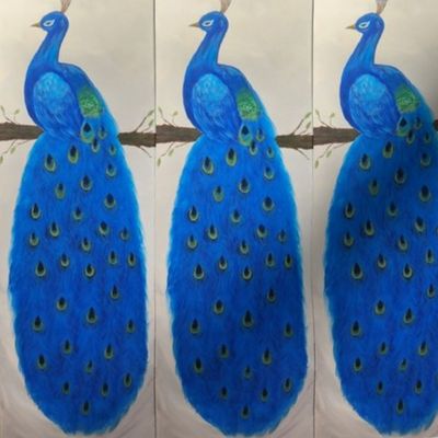 Regal Peacock 2