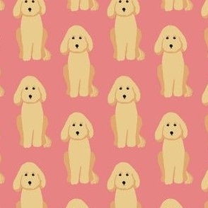 Golden Doodle/Groodle Dogs on Pink 