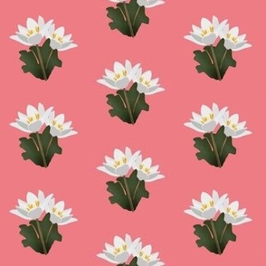 [Small] Quilt Wild Flower Bloodroot on strawberry pink limonade