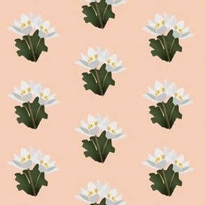 [Small] Quilt Wild Flower Bloodroot on pink blush