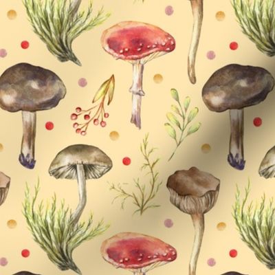 Fall mushrooms fly agarics and toadstools on a light beige background. Hand drawn watercolor