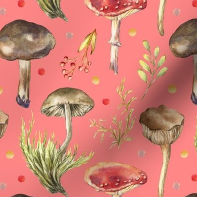 Fly agarics and toadstool mushrooms on a pink background. Hand drawn watercolor