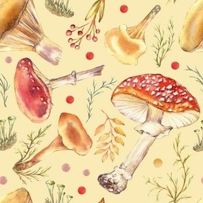 Fly agaric and toadstool mushrooms. Red Amanita. Hand drawn watercolor on beige background