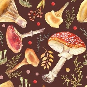  Fly agaric and toadstool mushrooms. Hand drawn watercolor Amanita on a dark brown background.