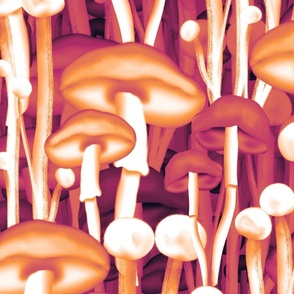Fantastic mushrooms in orange color