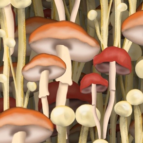 Mushrooms in the night forest