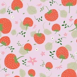Strawberry Fruit Field