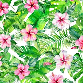 pink hibiscus with green tropical leaves watercolor